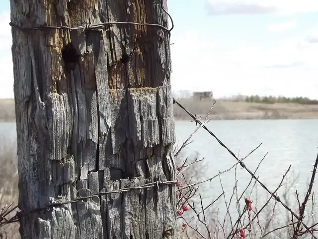 Weathered fence post by the water